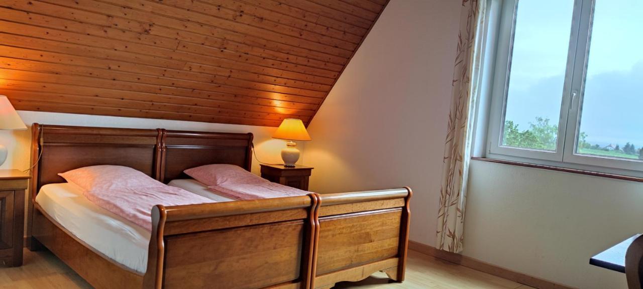 Chambre D'Hotes De La Tulipe Mittelbergheim Exterior foto